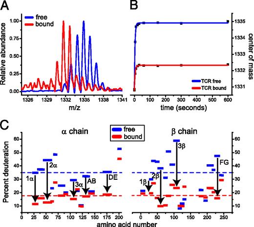 FIGURE 1. Hydrogen/deuterium exchange reveals that the A6 TCR undergoes a global reduction in flexibility upon pMHC binding. (A) MALDI-TOF mass spectra for the fragment of the FG loop (sequence 225WTQDRAKPVTQ235) of A6 free (blue) and bound to Tax/HLA-A2 (red) 10 min after initiation of hydrogen/deuterium exchange. (B) Time courses for the exchange reaction of the FG loop fragment in (A) demonstrates that in both free and bound A6, exchange follows simple kinetics and is complete within 10 min. (C) Percent deuteration of each fragment of free and ligand-bound A6 at the 10-min time point. Fragments including the CDR and the AB, DE, and FG loops in the constant domains are indicated. The dashed blue and red lines indicate the average deuteration of the free and bound protein, respectively.