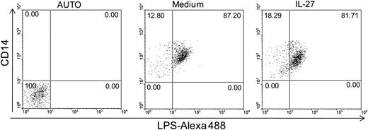 FIGURE 5. IL-27 priming does not enhance LPS binding to monocytes. Primary monocytes were cultured in medium alone (Medium) or primed with IL-27 for 16 h (IL-27). LPS-Alexa (1 μg/ml) was added to all cultures for 1 h at 37°C to facilitate binding. Cells were harvested and stained for CD14 expression, and data were acquired with the Epics XL-MCL flow cytometer. AUTO represents a control for autofluorescence of unstained cells.
