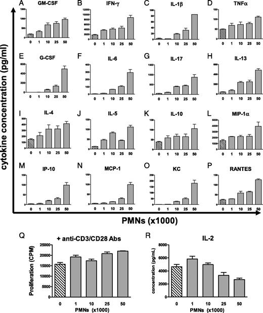 FIGURE 5. PMNs synergize with T cells to enhance in cytokine production without an effect on proliferation. A–P and R, Coculturing of WT CD4+ T cells with PMNs isolated from cLP of colitic mice results in increased production of cytokines, and chemokines WT CD4+ T cells were cultured along (cross-hatched bars) or with the indicated number (shown on x-axis) of FACS-sorted PMNs (gray bars) in the presence of activating anti-CD3/CD28 Abs for 48 h. Cytokine concentrations were measured using multiplex cytokine analysis. Data are expressed as the mean ± SEM of serial dilutions (undiluted, 1:2 and 1:4) of each sample. Shown are results from a representative experiment of two independently conducted coculture experiments with similar results. Proliferation of WT T cells in response to anti-CD3/CD28 Abs in the absence or presence of PMNs (Q) was not substantially increased with the addition of PMNs.
