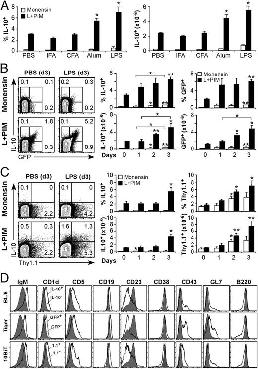 FIGURE 3. B10 cells expand after in vivo LPS treatment. A, Alum and LPS drive B10 cell expansion in vivo. Spleen B10 cell numbers were quantified, as in Fig. 1, 3 d after PBS, CFA, IFA, alum, or LPS treatment. Values represent mean frequencies (left panel) or numbers (right panel) of IL-10+ CD19+ B cells from one of two experiments with similar results (n ≥ 3 mice/group/experiment). B, LPS drives GFP+ B10 cell expansion in Tiger mice. Representative contour plots (left panel) show IL-10 and GFP expression by spleen CD19+ B cells 3 d after PBS or LPS treatment. B cells were cultured with monensin alone or L+PIM for 5 h before IL-10 and GFP analysis, as in Fig. 1A. Bar graphs show mean frequencies or numbers of IL-10+ (middle panel) or GFP+ (right panel) B cells from PBS-treated (day 3) or LPS-treated (days 1–3) mice (≥ 3 mice/group). C, LPS treatment drives Thy1.1+ B10 cell expansion in 10BiT mice. Representative contour plots (left panel) and bar graphs indicate frequencies and total numbers of IL-10+ (middle panel) or Thy1.1+ (right panel) B cells from 10BiT mice (n = 3–4 mice/group), as assessed in B. Data presented in B and C were pooled from three independent experiments. D, Ex vivo cell surface phenotype of B cells from wild-type, Tiger, or 10BiT mice. Spleen B cells were isolated 3 d after LPS treatment, with subsequent L+PIM stimulation for 5 h before cell surface staining. Black lines represent the IL-10+, GFP+ or Thy1.1+ B cell subsets, whereas shaded graphs represent IL-10−, GFP−, or Thy1.1− B cells, as indicated. Similar results were obtained in two experiments. *p ≤ 0.05, **p ≤ 0.01.
