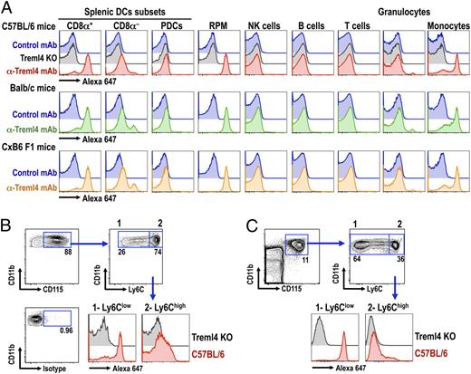 FIGURE 2. mAb against Treml4 labels CD8α+ DCs, red pulp macrophages (RPM), and Ly6Clow monocytes. A, C57BL/6 (top panel), BALB/c (middle panel), or CxB6 F1 (bottom panel) splenocytes were analyzed by multicolor flow cytometry for the expression of Treml4 in different subsets of leukocytes (24). For control, we used rat IgG1 isotype control (blue graphs) or Treml4 KO mice on B6 background (gray graphs). B, CD115+ splenic monocytes from B6 or Treml4 KO mice were further gated on the expression of Ly6C. Ly6Clow and Ly6Chigh monocytes were analyzed for the expression of Treml4. C, As in B, but expression of Treml4 was evaluated in Ly6Chigh and Ly6Clow blood monocytes. In all cases, one experiment of two with similar results is shown. PDCs, plasmacytoid DCs.