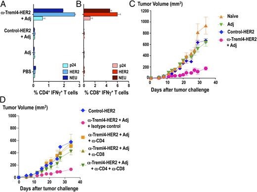 FIGURE 6. Targeting breast cancer Ag HER2 to Treml4 elicits HER2-specific T cell immunity and tumor protection. FVB/N mice were primed and boosted 4 wk apart with 5 μg anti–Treml4-HER2 fusion mAb in the presence of 50 μg poly-IC. As a control, we used a mAb without receptor specificity (control HER2 mAb), poly-IC alone, or PBS. Fourteen days after boost, total splenocytes were labeled with CFSE and restimulated in vitro with a nonreactive HIV GAGp24 (p24) peptide pool, a reactive HER2 peptide pool, or a cross-reactive NEU peptide pool. After 4 d, the cells were further stimulated for 6 h, as before, in the presence of BFA, and cytokines were detected by intracellular staining. Data are the percentage of CFSElow IFN-γ+ CD4+ (A) or CD8+ (B) cells shown as two experiments with three mice/group. C, Fourteen days after boost, mice were injected with 1 × 106 NT2.5 transplantable breast cancer cells s.c. into mammary fat pads. Data show the tumor volume over time as the mean of 5–10 mice/group (naive and Adj = 5 mice; control HER2 and anti–Treml4-HER2 = 10 mice) in two representative experiments. Significant differences were found between anti-Treml4 and the control groups (p < 0.01). D, As in C, but 9, 6, and 3 d prior to tumor challenge, groups of mice were inoculated i.p. with anti-CD4–depleting mAb (GK1.5), anti-CD8–depleting mAb (2.43), or isotype-control mAb (GL117). Mice were challenged with 1 × 106 NT2.5 tumor cells at day 14. Data are shown as the mean of five animals/group in one representative experiment.
