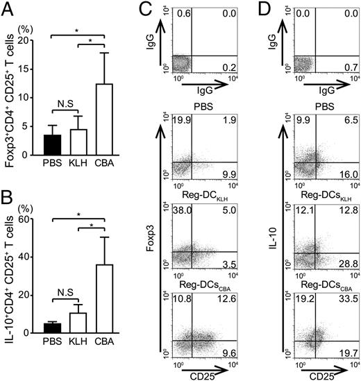 FIGURE 4. Reg-DCsCBA induce Foxp3+CD4+CD25+ T cells and IL-10–producing CD4+CD25+ T cells in vivo. The generation of Foxp3+CD4+CD25+ T cells and IL-10–producing CD4+CD25+ T cells from Foxp3−CD4+CD25− T cells in the MLN from CD4+CD25− T cell-transferred mice treated with PBS (n = 7), Reg-DCsKLH (n = 5), or Reg-DCsCBA (n = 5). CD4+ T cells were gated and analyzed by FACS. (A and B) The data are expressed as percentages of cells positive for Foxp3+CD4+CD25+ T cells (A) and IL-10+CD4+CD25+ T cells (B). (C and D) Expression of Foxp3 or IL-10 and CD25 is represented in dot plots. Data shown are representative of two independent experiments. *p < 0.05. NS, Not significant.