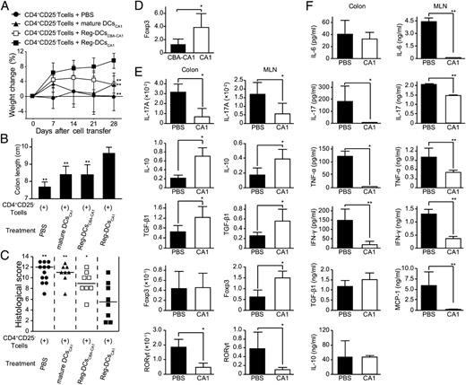 FIGURE 6. Reg-DCsCA1 suppress development of colitis. (A) Relative changes in body weight (%) over time for colitis-induced mice (transfer of CD4+CD25− T cells) subsequently treated with PBS (●, n = 12), mature DCs pulsed with CA1 (mature DCsCA1; ▴, n = 8), Reg-DCsCBA-CA1 (□, n = 8), or Reg-DCsCA1 (▪, n = 8). (B) The colon lengths of colitic mice were measured on day 28. There were 8–12 mice per group. (C) Histological scores on day 28. There were 8–12 mice per group. Horizontal bars: median. *p < 0.05, **p < 0.01 (compared with Reg-DCsCA1–treated mice). (D) Foxp3 mRNA expression in the MLN were quantified by real-time RT-PCR. There were five mice per group. (E) Cytokine and transcription factor mRNA expression in the colon and MLN were quantified by real-time RT-PCR. There were five mice per group. (F) Secreted cytokine concentrations from the colon and MLN cells (1 × 106) were measured. There were five mice per group. Data shown are representative of two independent experiments. *p < 0.05, **p < 0.01.