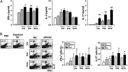 FIGURE 8. APN-stimulated DCs induce both Th1 and Th17 polarization in vivo. Mice were sensitized s.c. in the footpads with 100 μg of OVA. Ten days after sensitization, DCs were pulsed with OVA, stimulated with APN, and applied to mice via footpad injections. (A) Seven days later, draining LNs were collected and restimulated with OVA for 5 d. The levels of IFN-γ, IL-4, and IL-17 production were measured via ELISA. Values are mean ± SEM. *p < 0.05, **p < 0.005, versus mice transferred with OVA-pulsed, unstimulated DCs. (B) Intracellular IFN-γ and IL-17 levels were detected using the appropriate fluorescent-labeled Abs. Left panels, Data are representative of three independent experiments with similar results. Right panels, The bar graphs indicate the percentages of IFN-γ– or IL-17–expressing CD4+ T cells. Data are mean ± SEM of four independent experiments. *p < 0.05, versus mice adoptively transferred with OVA-pulsed iDCs.