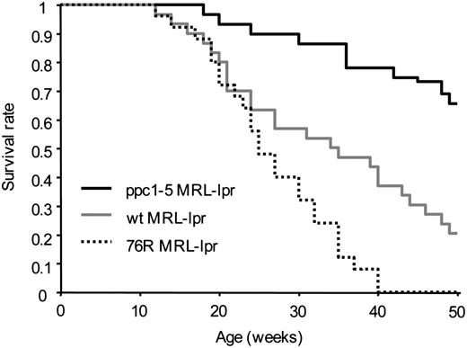 FIGURE 5. Improved survival in ppc1-5 MRL-lpr mice. The ppc1-5 MRL-lpr (n = 29) and their wt littermates (n = 30) as well as the anti-dsDNA 76R sd-tg MRL-lpr mice (n = 25) were monitored for survival for 50 wk. Kaplan–Meier survival curves were shown. All mice were females. Mice were considered deceased when they died naturally or reached a moribund state and were euthanized (as requested by veterinarians). Mice expressing ppc1-5H sd-tg had significantly improved survival as compared to the wt MRL-lpr mice and to the 76R MRL-lpr mice (p < 0.001 as determined by Mantel–Cox log-rank test).