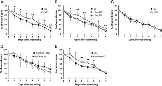 FIGURE 3. Blockade of H60c/NKG2D interactions impairs wound repair. Two sets of wounds were made on the back skin of C57BL/6 and TCRδ−/− mice. Immediately after wounding, 2 or 10 μg Abs was applied to each wound. (A) Wound closure in C57BL/6 mice treated with 10 μg 5G6 or cIg. (B) Wound closure in C57BL/6 mice treated with 2 or 10 μg 5G6 or 10 μg cIg. (C) Wound closure in C57BL/6 mice treated with 10 μg 1F10 or cIg. (D) Wound closure in C57BL/6 mice treated with 10 μg 5G6 and in TCRδ−/− mice treated with 10 μg cIg. (E) Wound closure in C57BL/6 mice treated with 10 μg HMG2D or cIg. cIgs for (A)–(D) were rat IgG. For (E), hamster IgG was used as a control. Data represent means ± SDs of 10–14 wounds per condition. All data are representative of three experiments. *p < 0.05, **p < 0.01 as determined by Student t test.