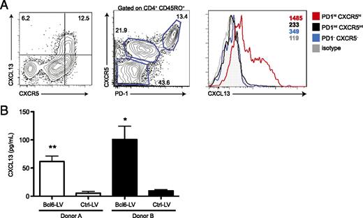 FIGURE 4. Bcl6 instructs CXCL13 production by human Tfh cells. (A) Selective production of CXCL13 by human Tfh cells. Unstimulated tonsil cells were incubated for 3 h with brefeldin A before intracellular staining for CXCL13. Left panel, CXCL13 expression shown in total CD4 T cells. Activated CD4 T cell subsets were gated (middle panel), and CXCL13 levels for each population are shown versus isotype control (right panel). Isotype control was gated on total CD4 T cells. MFI for each population is indicated. (B) CXCR5int Tfh cells were sorted from tonsil, stimulated with anti-CD3/CD28 beads, and transduced with Bcl6-LV or Control-LV. Five days posttransduction, CXCL13 present in the supernatant was analyzed by ELISA. Data are representative of four total donors from two independent experiments. *p < 0.05, **p < 0.01.