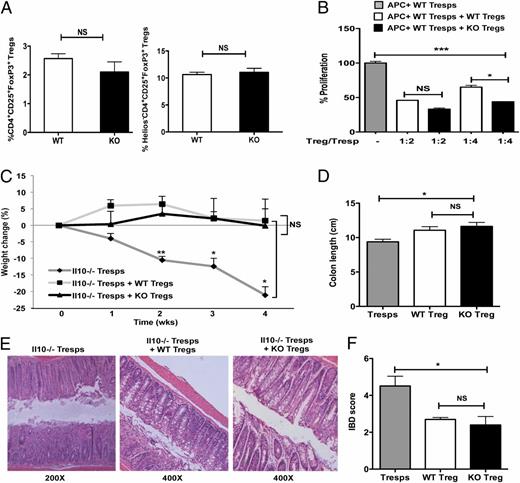 FIGURE 1. Characterization of Tregs from Bcl6−/− mice. (A) Analysis of Treg compartment in the peripheral lymphoid organs of Bcl6−/− (KO) mice and their WT littermates. The frequency of CD4+CD25+Foxp3+ Tregs (left panel) and Helios−CD4+CD25+Foxp3+ Tregs (right panel) was quantified by flow analysis (n = 3/group.) p = 0.30 (NS) for CD4+CD25+Foxp3+ T cells and p = 0.67 (NS) for Helios−CD4+CD25+Foxp3+ cells. (B) Suppression of T cell-proliferative responses by CD4+CD25+Foxp3+ Tregs sorted from Bcl6−/− (black bars) and WT (white bars) Foxp3-gfp mice following coculture with WT CD25−Foxp3− (Tresps) cells (gray bar) at different ratios. Proliferation was assessed as [3H]thymidine incorporation. Data plotted as percentage proliferation are representative of at least three independent experiments (mean + SEM triplicate cultures). (C) Suppression of Th1 inflammation in vivo by Bcl6−/− Tregs in a T cell-transfer model of colitis. Colitis was induced following adoptive transfer of Il10−/− CD4+ T cells (Tresps) i.p. into Rag1−/− mice (dark gray line). Bcl6−/− Foxp3-gfp Tregs (black line) or their WT counterparts (light gray line) were cotransferred i.p. with Il10−/− Tresps to separate cohorts of Rag1−/− mice to assess reversal of disease. Data represent percentage of weight change relative to initial weight averaged for three or four mice/cohort and assessed over a 4-wk time period. p = NS between cohorts receiving WT and Bcl6−/− Tregs. (D) Severity of colitis assessed by changes in colon length 4 wk posttransfer to Rag1−/− mice, as described in (C). (E) Representative colon histopathology for the three cohorts of Rag1−/− mice described in (C) assessed by H&E staining 4 wk posttransfer. (F) Colon sections from the three cohorts of Rag1−/− mice were scored, on a scale of 0 to 6, 4 wk posttransfer in a blinded fashion. Error bars represent SEM. (B–F) *p < 0.05, **p < 0.01, ***p < 0.001, one-way ANOVA.