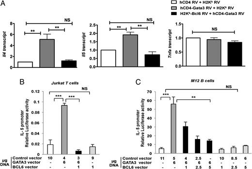 FIGURE 8. Bcl6 represses Gata3 transcriptional activity. (A) QPCR analysis of relative cytokine gene expression (Il4, Il5, Tnfa) for Stat6−/− T cells retrovirally transduced with control RV or hCD4-Gata3 RV alone, as well as double transduction of hCD4-Gata3 RV and H2Kk-Bcl6 RV. Transduced cells were sorted using RV markers (hCD4 and H2Kk) and then restimulated with anti-CD3 and anti-CD28 for 4 h for analysis of gene expression. Expression was normalized to btub. **p < 0.01, one-way ANOVA. (B) Luciferase activity in Jurkat T cells cotransfected with IL-5 promoter-driven luciferase reporter and expression constructs for CXN, CXN-Gata3, CXN-Bcl6, and CXN-Gata3 plus CXN-Bcl6. Following electroporation, cells were stimulated with PMA and ionomycin for 24 h prior to harvest and luciferase measurement. Results are representative of five independent experiments. (C) Luciferase activity in M12 B cells electroporated with IL-5 promoter-driven luciferase reporter plus expression constructs for Gata3 alone, Bcl6 alone, or Gata3 plus Bcl6. After electroporation, cells were stimulated with PMA plus dibutyryl cAMP for 24 h prior to harvest and luciferase measurement. Results are representative of two independent experiments. Error bars represent SEM. **p < 0.01, ***p < 0.001, Student t test.