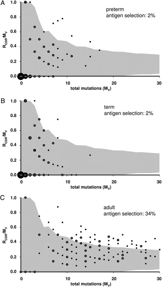 FIGURE 5. Ag selection of IgA transcripts. Inference of Ag selection in IgA transcripts from preterm neonates (A), term neonates (B), and adults (C). Shown is the ratio of replacement mutations in CDR-H1 and CDR-H2 (RCDR) to the total number of mutations in the V region (MV) plotted against MV. Numbers of sequences are written in the dots; the sizes of the dots increase with the number of sequences with the same parameters. The shaded area represents the 95% confidence limits for the probability of random mutations. A data point falling outside these confidence limits represents a sequence that has a high proportion of replacement mutations in the CDR. The probability that these mutations occurred randomly is p < 0.05. Two percent of preterm and term neonate IgA transcripts exhibited statistical signs of Ag selection in comparison with 34% of adult IgA transcripts (p < 0.05, two-tailed χ2 test, respectively).