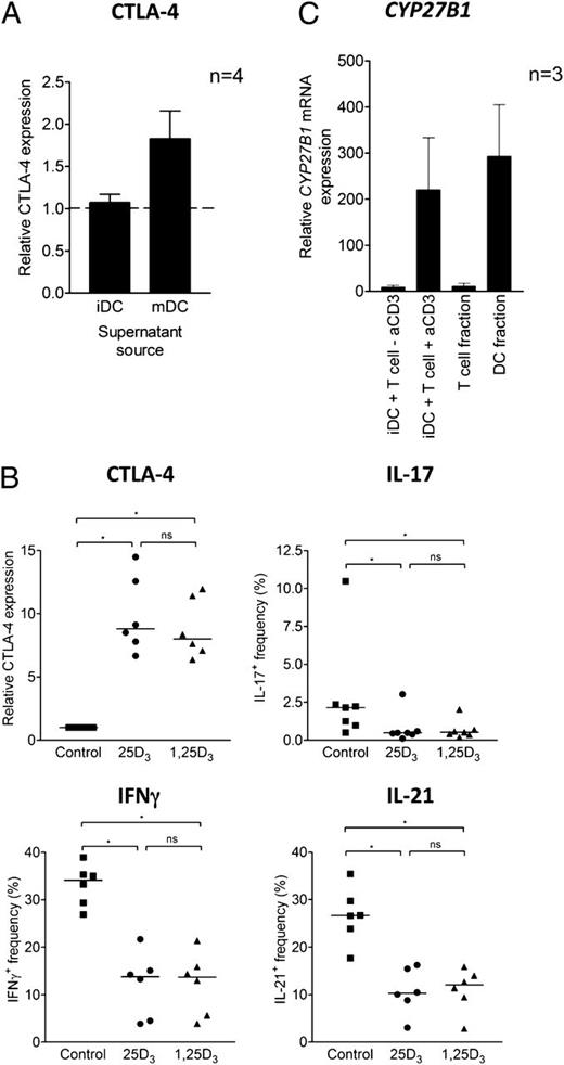 FIGURE 3. T cell activation promotes CYP27B1 expression in DCs, leading to 25(OH)D3 conversion and an anti-inflammatory T cell phenotype. (A) Supernatants from cultures of 25(OH)D3-treated iDCs or mDCs were used to supplement bead-stimulated T cell cultures. At 4 d, CTLA-4 expression was measured and compared with the level attained when T cells were stimulated in control medium. (B) CD4+CD25− T cells were stimulated with iDCs plus anti-CD3 in the presence of control, 50 nM 25(OH)D3, or 10 nM 1,25(OH)2D3. Following stimulation, cells were stained for CD3, costained for CTLA-4, IL-17, IFN-γ, or IL-21, and measured by flow cytometry. (C) At 20 h, CYP27B1 mRNA was measured in cultures containing iDCs and T cells (± anti-CD3) and in purified T cell and DC fractions isolated from these cultures by cell sorting. *p < 0.05.