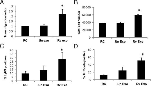 FIGURE 4. Exosomes from H37Rv-infected macrophages induce transmigration of M. bovis BCG-sensitized splenocytes. Splenocytes were isolated from mice 5 wk after an infection with 1 × 106 CFU M. bovis BCG. BMMs were seeded in the lower chamber of a Transwell plate and stimulated with sucrose gradient-purified exosomes at 40 μg/ml for 16 h. CFSE-labeled splenocytes were added to the top chamber of the Transwell plate, and cells were allowed to migrate for 2 h. (A) Splenic macrophages that migrated to the bottom of the filters were counted in 10 random fields, and results are represented as the transmigration index. (B) Cells that migrated to the bottom chamber were collected and counted on a hemacytometer. Additional cells were stained with PE-conjugated Ly6G (C) or Cy5-conjugated TCR-β (D) to characterize the neutrophils and T cells, respectively, and then analyzed by flow cytometry. Results are the mean of two separate experiments + SD. *Indicates statistical difference when compared with untreated cells/RCs. p ≤ 0.05.