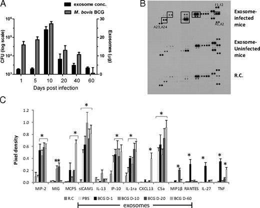 FIGURE 6. Exosome production in M. bovis BCG-infected mice correlates with bacterial load and shows proinflammatory activity. (A) C57BL/6 mice infected with 106 CFU M. bovis BCG were sacrificed at various time points, and serum exosome concentration and CFU were determined. Results are representative of three independent experiments, each with four mice per group. BMMs were treated for 18 h with 500 μg/ml of serum-derived exosomes isolated at days 1, 10, 20, and 60 (D-1 through D-60) post-M. bovis BCG infection or with exosomes from PBS-treated control mice. The culture supernatants of the treated BMMs were analyzed for cytokines and chemokines, using mouse cytokine arrays according to the manufacturer’s instructions. (B) Shown is the array using exosomes from day 10 infected mice. (C) The pixel densities for each spot were calculated using ImageJ software and plotted. Results are representative of three independent experiments + SD. *Indicates statistical difference when compared with untreated cells/RCs (p ≤ 0.05). (A1,A2), (F1,F2), and (A23,A24) correspond to reference numbers for cytokine array (see Supplemental Table I for arrangement of Abs on the array).