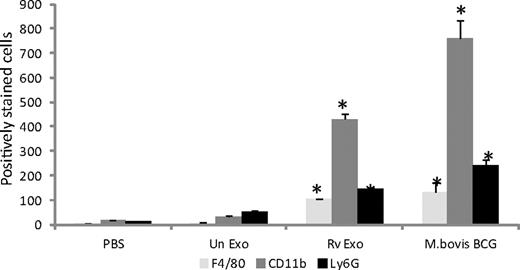 FIGURE 7. Intranasal administration of Rv exosomes in C57BL/6 mice induces cellular recruitment in lungs. C57BL/6 mice were intranasally administered PBS or 25 μg of exosomes in PBS or infected with 1 × 106 CFU M. bovis BCG. Mice were sacrificed at day 5, and lungs from four mice per group were pooled. Total lung cells were treated with collagenase for 2 h, and cells were stained with FITC-conjugated anti-mouse F4/80, PE-conjugated anti-mouse CD11b, PE-conjugated anti-mouse Ly6G, or isotype controls. Plotted is the number of cells that stained positive for the given markers. Results are representative of two independent experiments + SD. *Indicates statistical difference when compared with PBS control. p ≤ 0.05.