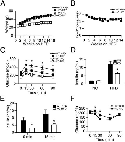 FIGURE 1. Improved glucose homeostasis of GPR105 KO HFD-fed mice. (A) Body weight gain of WT and GPR105 KO mice on NC and HFD (n = 12 per group). (B) Food intake of WT and GPR105 KO mice on HFD (n = 12). (C) Glucose tolerance testing in NC and HFD mice. Glucose (1 g/kg) was injected i.p. after a 7-h fast, and tail blood was collected for glucose measurement (n = 8). (D) Fasting insulin levels of WT and GPR105 KO mice on NC and HFD (n = 8). (E) Acute insulin secretion measured in HFD-fed WT and GPR105 KO mice at basal (7 h fast) and 15 min after oral glucose challenge (n = 8). (F) Insulin tolerance testing in HFD mice. Intraperitoneal insulin (0.6 U/kg) was injected to 7-h–fasted HFD WT and GPR105 KO mice. Blood glucose was measured at the indicated time points. All values are expressed as means ± SEM. *p < 0.05 versus diet-matched WT.