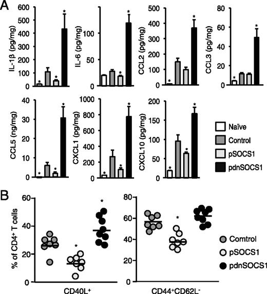 FIGURE 5. Cytokine and chemokine responses and CD4+ T cell differentiation in the heart. (A) Myocardial tissues were homogenated and processed by ELISA to detect cytokines and chemokines on day 14. Bar graphs show group means ± SEM of 8–16 mice/group. Results of one of three representative experiments are shown. (B) Heart-infiltrating cells were isolated from EAM mice treated with indicated plasmid DNA. Cells were stained for CD4, CD40L, CD44, and CD62L. CD44 and CD62L expression are based on gates set from total CD4+ T cells. Bar graphs show group means ± SEM of 5–9 mice/group. Data are representative of two independent experiments. *p < 0.05 compared with control.