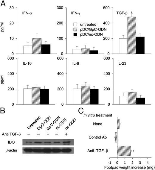 FIGURE 3. TGF-β is required for GpC to confer suppressive properties on pDCs. (A) pDCs were exposed to GpC-ODN (1 μg/ml) or negative control ODN (nc-ODN). Specific cytokine production (indicated) was measured by ELISA in 18-h culture supernatants. Data are means ± SD of three independent experiments. *p < 0.05. (B) pDCs were exposed to GpC-ODN (1 μg/ml) or negative control ODN in the presence of anti–TGF-β (50 μg/ml) or an isotype control. IDO protein expression was assayed at 24 h by immunoblot analysis. One experiment representative of three. (C) CD8– DCs were admixed with a 5% fraction of differently treated pDCs, and the cell mixture was pulsed with the HY peptide and then injected into recipient mice to be assayed for skin test reactivity at 2 wk. Anti–TGF-β or the isotype control (50 μg/ml) was present during GpC stimulation. One of three experiments. *p < 0.005 (experimental versus control footpads).