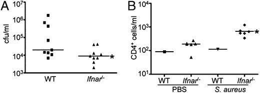 FIGURE 2. Ifnar−/− mice have improved clearance of S. aureus from the lung. Mice were inoculated intranasally with S. aureus USA300 for 20 h before sacrifice. (A) Bacteria were enumerated from lung homogenate. (B) CD4+ cell counts were determined using FACS analysis from bronchoalveolar lavage samples. FACS data are representative of two independent experiments. Each point represents a mouse. Lines display median values. *p < 0.05.