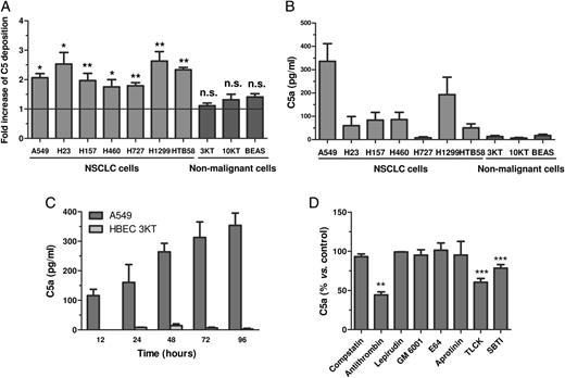 FIGURE 1. C5 deposition and local production of C5a by lung cancer and non-fully transformed cells. (A) C5 deposition on cells incubated with NHS. Deposition was determined by flow cytometry. Results are shown as mean ± SEM and represent the ratio of the mean fluorescence intensity between 20% NHS and 20% HI-NHS. At least three independent experiments were performed for each cell line. In each cell line, statistical differences between cells incubated with NHS or with HI-NHS were evaluated. A horizontal line at ratio = 1 indicates the baseline. (B) Local production of C5a by lung cancer and nonmalignant cells in the absence of serum after 48-h incubation in serum-free medium. C5a levels were determined by ELISA. Data represent mean ± SEM from three independent experiments. (C) Time course of the production of C5a by A549 and HBEC-3KT cells. (D) Local production of C5a in the presence of protease inhibitors: 10 μM compstatin, 0.2 μM antithrombin III (with 10 U/ml heparin), 0.2 μM lepirudin, 25 μM GM6001, 10 μM E-64, 10 U/ml aprotinin, 100 μM TLCK, or 100 μM SBTI. C5a levels in basal medium were set as 100%. In the case of compstatin, 100% C5a production was set in cells incubated with a compstatin control peptide. Results are expressed as mean ± SEM from at least three independent experiments. *p < 0.05, **p < 0.01, ***p < 0.001.
