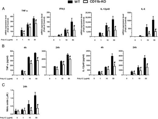 FIGURE 2. Mac-1 deficiency impaired immune responses to poly I:C in macrophages. Poly I:C was added to macrophages prepared from WT or CD11b−/− mice with the indicated dose range. (A) After 2 h, total RNA was extracted and used in real-time PCR. (B) The release of TNF-α and IL-12p40 from cultured macrophages was determined by ELISA at 4 or 24 h after the treatment. (C) NO production was measured at 24 h after the treatment. Data are mean ± SEM from three independent experiments in triplicate. #p < 0.01 versus poly I:C–treated WT mice.