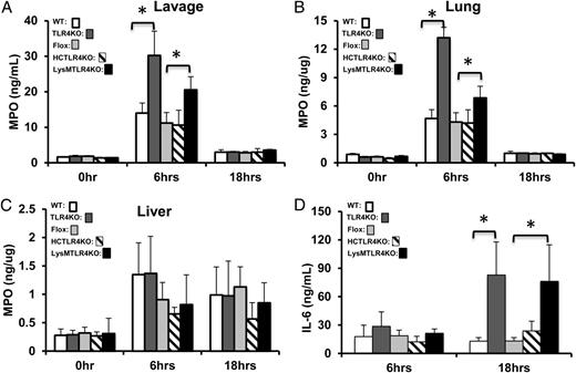 FIGURE 2. Neutrophil influx and circulating IL-6 levels are independent of TLR. MPO activity in peritoneal lavage fluid (A), lung (B), and liver (C) at baseline (0), 6, and 18 h after CLP. (D) Plasma IL-6 at 6 and 18 h after CLP. Data represent mean ± SD (n = 8–11 mice/group). *p < 0.05.