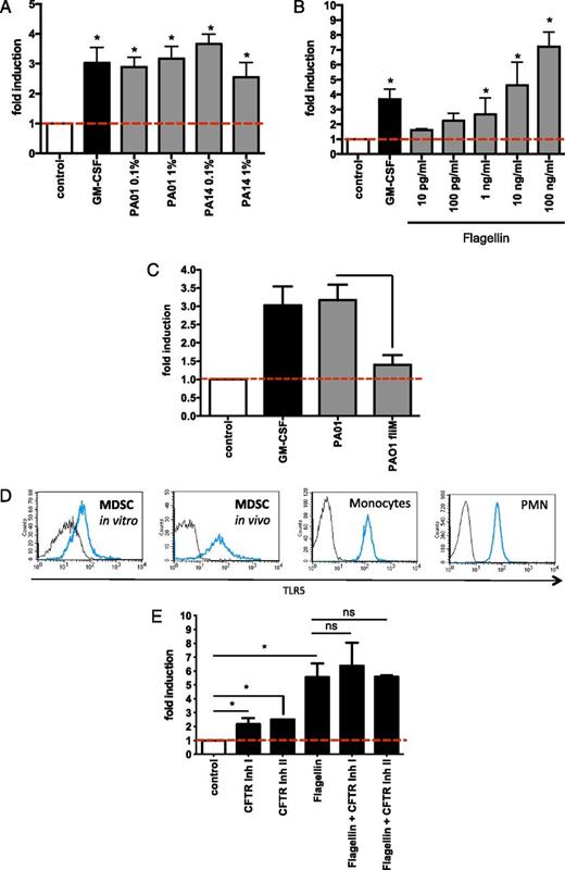 FIGURE 3. Flagellated P. aeruginosa bacteria and purified flagellin protein induce MDSCs. (A) Flagellated P. aeruginosa induces MDSCs. MDSCs were generated by incubating PBMCs with medium only (negative control), GM-CSF (10 ng/ml, positive control), or two different flagellated P. aeruginosa strain (PAO1 or PA14) derived culture supernatants at 0.1 or 1% medium culture conditions. The x-fold induction of MDSCs compared with control conditions is depicted. (B) Flagellin induces MDSCs. The effect of purified flagellin (for concentrations, see figure) or GM-CSF (10 ng/ml) on MDSC generation is depicted. The x-fold induction of MDSCs compared with control conditions is depicted. (C) P. aeruginosa induces MDSCs through flagellin. MDSCs were generated by incubating PBMCs with medium only (negative control), with GM-CSF (10 ng/ml, positive control) or with culture supernatants (1% medium culture conditions) from a flagellated P. aeruginosa strain (PAO1) or a matched nonflagellated strain (PAO1 fliM mutant strain). The x-fold induction of MDSCs compared with control conditions is depicted. (D) MDSCs express TLR5. MDSCs were generated in vitro by incubating isolated PBMCs with P. aeruginosa PAO1 (1%) derived culture supernatants (“MDSC in vitro”). TLR5 expression on CF patient ex vivo–isolated MDSCs (“MDSC ex vivo”). As control immune cells, peripheral blood monocytes and neutrophils (PMNs) were stained for TLR5. TLR5 surface expression (blue line) versus unstained control (black line) is shown. (E) MDSC induction and CFTR. MDSCs were generated in vitro by incubating isolated PBMCs with purified flagellin (10 ng/ml), with or without pretreatment of PBMCs with two different small-molecule CFTR inhibitors (CFTRinh-172, 10μM; GlyH-101, 10μM). For all assays, at least three independent experiments were performed. *p < 0.05. ns, Not significant.