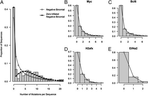 FIGURE 3. AID is clonally recruited to the Ig locus but not to non-Ig genes. (A) The frequency distribution of the total number of mutations per Jh4 intron sequence was fit to both the NB (○) and the ZI-NB (▪). A similar analysis was carried out for group A genes, including Myc (B), Bcl6 (C), H2afx (D), and Eif4a2 (E).