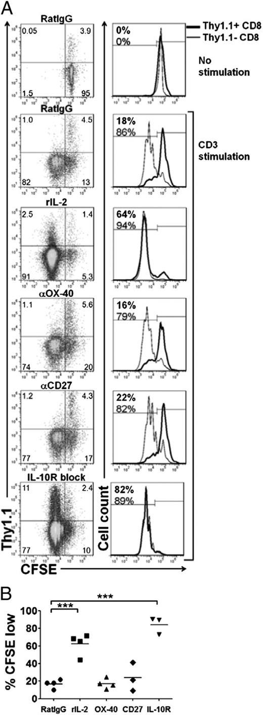 Regulatory CD8+ T Cells Associated with Erosion of Immune Surveillance