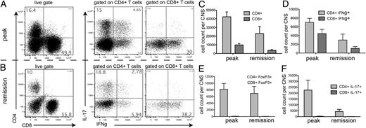 FIGURE 1. Immune cells isolated from the CNS of C57BL/6 mice immunized with MOG35–55 (A) at the peak of disease (n = 8, day 13–15) and (B) in remission/chronic phase (n = 13, day 25–28). (C) CD8+ T cells are present, but in lower numbers than CD4+ T cells in the CNS of EAE-affected mice at the peak of disease and in remission. (D) Quantification of IFN-γ producers among CD8+ T cells in the CNS is shown (absolute cell counts per CNS). (E) No CD8+Foxp3+ cells are detectable in the peak and remission phases compared with CD4+Foxp3+ cells. (F) CD8+ T cells in the CNS produce no IL-17, in contrast to CD4+ T cells. Pooled data from at least two independent experiments.