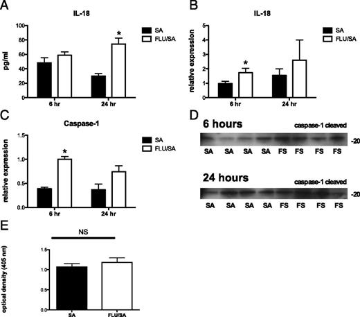 FIGURE 2. Influenza A does not impact S. aureus–induced inflammasome activation. C57BL/6 mice were infected with 100 PFU of Influenza A/PR/8/34 or vehicle for 6 d and then challenged with 5 × 107 CFU of S. aureus for 6–24 h. (A) IL-18 protein concentration in lung homogenate, as measured by ELISA (n = 6). (B) IL-18 gene expression in lung RNA (n = 7-8). (C) Caspase-1 gene expression in lung RNA (n = 7-8). (D) Western blot analysis for anti-caspase-1 p20 cleaved product. (E) Caspase-1 enzyme activity (n = 6). *p < 0.05 versus S. aureus alone.