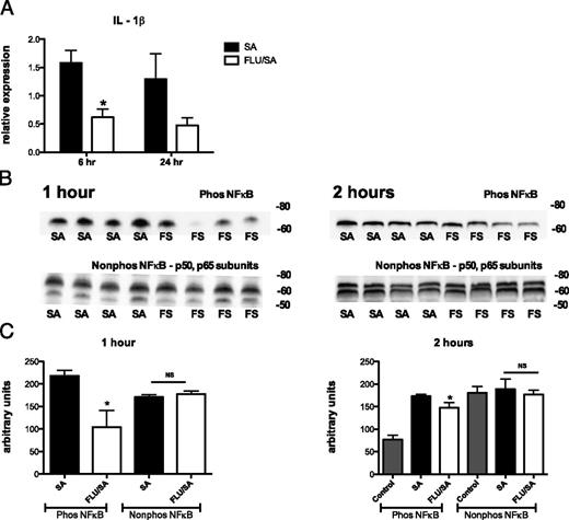 FIGURE 3. Influenza A suppresses NF-κB activation and IL-1β expression in the lung. C57BL/6 mice were infected with 100 PFU of Influenza A/PR/8/34 or vehicle for 6 d, mice were then challenged with 5 × 107 CFU of S. aureus for 1-24 h. (A) IL-1β gene expression in lung RNA (n = 7-8). (B) Western blot analysis for anti-phosphorylated NF-κB and anti-nonphosphorylated NF-κB p50 and p65. (C) Densitometry for the Western blot bands. *p < 0.05 versus S. aureus alone.