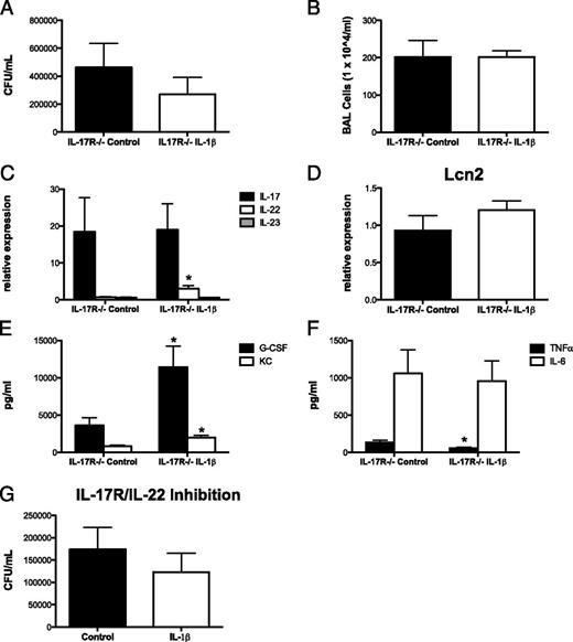 FIGURE 5. IL-17 and IL-22 play an important role in IL-1β’s rescue of influenza-induced S. aureus pneumonia. IL-17R−/− mice were infected with 100 PFU of Influenza A/PR/8/34. On day 3, they received adenovirus (2.5 × 108 PFU in 50 ml sterile PBS) expressing IL-1β or EGFP (control) and were challenged on day 6 with 5 × 107 CFU of S. aureus for 24 h. (A) Bacterial colony counts in the lung (n = 6). (B) BAL fluid cell counts (n = 6). (C) Type 17 pathway expression in lung tissue measured by RT-PCR (n = 6). (D) Lipocalin 2 expression in lung tissue measured by RT-PCR (n = 6). (E and F) Type 17–associated cytokine production in lung homogenate (n = 6). C57BL/6 mice were infected with 100 PFU of Influenza A/PR/8/34. They received adenovirus expressing IL-1β (2.5 × 108 PFU in 50 μl sterile PBS) or EGFP (1 × 1010 PFU in 50 μl sterile PBS) (control) on day 3 and 10 μg of IL-17R Fc chimera and 50 μg of anti–IL-22 (in 100 μl sterile PBS) on day 5. They were challenged on day 6 with 5 × 107 CFU of S. aureus for 24 h. (G) Bacterial colony counts in the lung (n = 7–8). *p < 0.05 versus control.