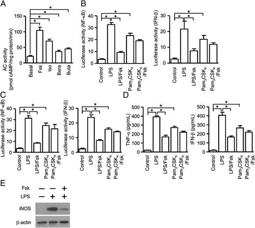 FIGURE 1. AC agonist attenuates TLR4 signaling. (A) Membranes were prepared from RAW 264.7 and then incubated with 10 μM forskolin (Fsk), 1 μM isoproterenol (Iso), 1 μM beraprost (Bera), or 1 μM butaprost (Buta) in buffer for 15 min. AC activities were monitored by determining cAMP content by EIA. Data are mean ± SEM of four independent experiments. RAW 264.7 (B) or BMDM (C) cells were transfected with an ELAM-1 promoter-controlled (left panel) or an IFN-β promoter–controlled luciferase reporter gene (right panel) and then treated with Fsk (10 μM), LPS (100 ng/ml), or LPS plus Fsk (10 μM) for 6 h. Cells were lysed, and relative luciferase activities were determined. (D) Supernatants from BMDM were used to detect the levels of cytokines TNF-α and IFN-β by ELISA. Data are mean ± SEM of three independent experiments (B–D). (E) Cell lysates were analyzed by immunoblotting with anti-iNOS Ab for the activation of TLR4 signaling. The images shown are representative of three independent experiments. *p < 0.05.
