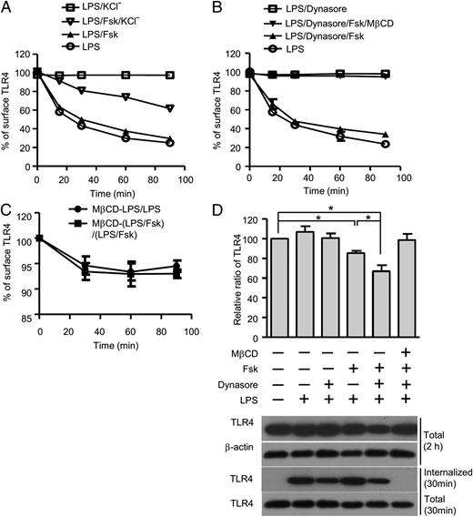 FIGURE 3. AC6 activation shifts endocytosis of TLR4 to the lipid raft–mediated pathway. (A) BMDM were untreated or treated with LPS (100 ng/ml) alone, LPS plus forskolin (Fsk; 10 μM), and/or with K+-free isotonic buffer for the times indicated. After acidic washes, the cells were fixed and analyzed with flow cytometry. The internalization rates were calculated with the formula as described in Materials and Methods. (B) BMDM were pretreated with or without 5 μM MβCD for 60 min and then untreated or treated with LPS (100 ng/ml) alone, LPS plus Fsk (10 μM), and/or Dynasore (50 μM) for the times indicated. After acid washes, the cells were fixed and analyzed using flow cytometry. The internalization rates were calculated with the formula mentioned above. (C) BMDM were pretreated with or without 5 μM MβCD for 60 min and then untreated or treated with LPS (100 ng/ml) alone or LPS plus Fsk (10 μM) for the times indicated. After staining with FITC-TLR4, the cells were fixed and analyzed with flow cytometry. (D) After proper treatment as indicated, BMDMs were treated with 1 mg ice-cold sulfo-NHS-LC-LC-biotin for 1 h at 4°C and then switched to 37°C for 30 min to induce internalization. Cellular extracts were prepared with 200 μl of lysis buffer and then incubated with immobilized streptavidin agarose, which was subjected to SDS-PAGE and immunoblot analysis with TLR4 Ab. Some cells were left to internalize for 2 h, and cell lysate was directly subjected to SDS-PAGE and immunoblot analysis with TLR4 Ab. The top panel represents densitometry quantitation of total TLR over β-actin using ImageJ. Shown is a representative image of three experiments (D), and the quantitative data are presented as the mean ± SEM of three experiments (A–D). *p < 0.05.