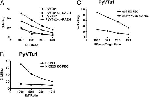 FIGURE 1. NK cells kill PyVTu cells in an NKG2D-dependent manner. In vitro cytotoxicity assays were performed with (A) PyVTu1 and PyVTu2 targets and spleen cell effectors from naive SCID mice, with and without blocking polyclonal anti–RAE-1 Abs; one of three similar experiments is shown. (B) PyVTu1 targets and preactivated PEC effectors from B6 and NKG2D KO mice. (C) PyVTu1 target cells and preactivated PEC effectors from TCRβ KO and TCRβ×NKG2D KO mice. A representative of three experiments with similar results is shown.