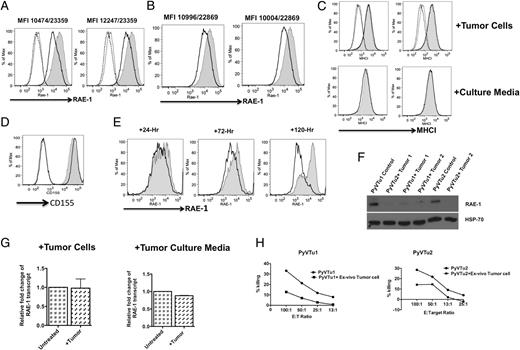 FIGURE 4. Downmodulation of RAE-1 by soluble factors derived from ex vivo PyV-induced tumors. (A) Expression of RAE-1 on PyVTu cells with (open dark) and without (filled gray histogram) coculture with ex vivo tumor tissues in Transwell plates for 3½ d. Open gray histograms show unstained samples; dashed line histograms show cells stained with irrelevant isotype control Abs. The two plots show experiments with two different ex vivo tumors; the MFI values of RAE-1 with or without treatment are indicated on the top of the plots. (B) RAE-1expression on PyVTu cells with (open dark) and without (filled gray histogram) treatment with supernatants of ex vivo tumor tissues for 3 d. MFI is indicated as in (A). (C) MHC I expression on PyVTu cells shown on (A) (top) and (B) (bottom). (D) DNAM-1 ligand CD-155 on PyVTu cells with (open dark histogram) and without (filled gray histogram) coculture with ex vivo tumor tissues in Transwell plates. (E) RAE-1 expression on PyVTu cells cocultured with freshly removed, PyV-induced tumor tissue for 1, 3, and 5 d (open histograms). Gray filled histograms are untreated controls. (F) Western blot of PyVTu1 and PyVTu2 cell lysates with or without coculture with ex vivo tumors in Transwell plates. Top shows RAE-1 protein detected by polyclonal Abs to RAE-1; bottom is Hsp70 control. (G) RAE-1–specific mRNA expression in PyVTu cells untreated, cocultured with ex vivo tumors (left), or treated with tumor supernatants (right) for 3.5 d. Results of qRT-PCR are expressed as fold changes compared with the untreated samples, using the ΔΔCt method. (H) In vitro cytotoxicity assays using as targets PyVTu1 (left) and PyVTu2 (right) cells with or without coculturing with ex vivo tumors for 3.5 d and spleen cells of naive SCID mice as effectors.