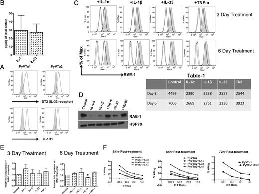 FIGURE 5. Proinflammatory cytokines regulate RAE-1 expression on PyVTu cells. (A) IL-33 and IL-1β produced by ex vivo tumors, shown by ELISA assays done with total lysates of the ex vivo tumor tissue. One experiment of two with three tumors each is shown. (B) Surface expression of IL-33R ST2 and IL-1R on PyVTu1 and PyVTu2 cell lines (gray histogram represents isotype control; open histogram shows staining with ST2 or IL-1R–specific Abs). (C) RAE-1 expression on PyVTu cells with (open dark histogram) and without (filled gray histogram) coculture with IL-α, IL-1β, IL-33 (at 2 ng/ml each), or TNF (5 ng/ml) for 3 (top) or 6 d (middle). Open gray histograms show unstained samples; dashed dark histograms show cells stained with irrelevant isotype control Abs. Bottom table lists MFI of RAE-1 on the untreated/treated cells. A representative of four experiments is shown. (D) Western blot of PyVTu1 cell lysates treated with 2 ng/ml IL-1α, IL-1β, or IL-33, or 5 ng/ml TNF for 6 d or left untreated (the same experiment as shown on C). (E) RAE-1 transcript after treatment with IL-1α, IL-1β, IL-33, or TNF as in (C) for 3 (left) or 6 d (right). Mean values and SD of three samples/group are shown. (F) In vitro cytotoxicity assays using naive SCID mouse spleen cells as effectors and PyVTu cell targets that were treated previously with the indicated cytokines for the indicated time. A representative of three similar experiments is shown.