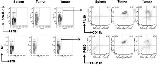 FIGURE 6. TNF and IL-β are mostly produced by tumor-infiltrating macrophages. Intracellular IL-1β and TNF staining of cells prepared from ex vivo tumors. IL-1β+ or TNF+ cells were mostly F4/80+ CD11b+ macrophages.