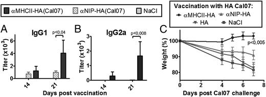 FIGURE 4. Extension to Cal07. (A–C) BALB/c mice were DNA/EP vaccinated with the indicated plasmids encoding HA from Cal07 (n = 6/group). Serum levels of IgG1 (A) and IgG2a (B) anti-HA Abs measured in a Cal07 ELISA. Values given are mean ± SEM. (C) BALB/c mice were DNA/EP vaccinated once with 25 μg of the indicated plasmids encoding HA from Cal07 (n = 6/group), challenged 14 d later by a lethal dose of Cal07, and monitored for weight loss.