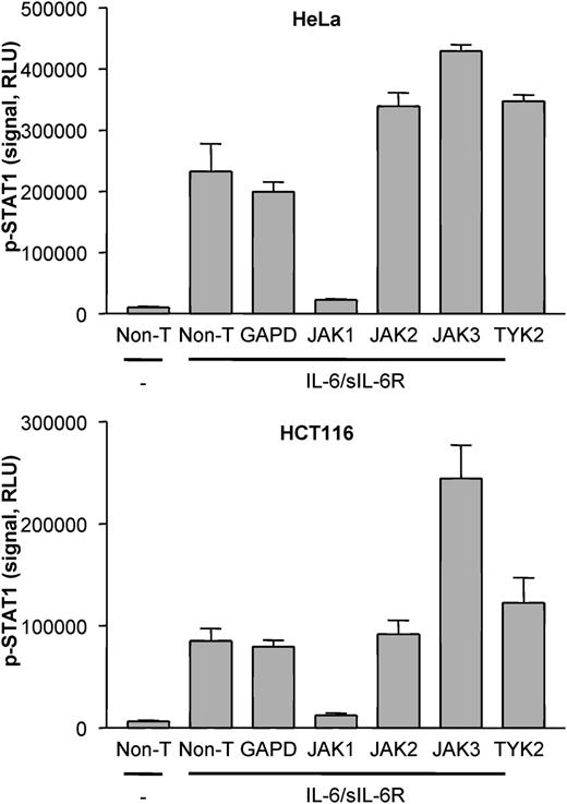 FIGURE 1. JAK1 silencing inhibits IL-6–induced STAT1 activation. IL-6/sIL-6R–induced STAT1 phosphorylation after JAK1, JAK2, JAK3, TYK2, GAPDH (GAPD), or nontargeting (non-T) siRNA transfection in HeLa (A) or HCT116 (B) cells was assessed using AlphaScreen technology. Data represent the means ± SD from four data points (duplicate measurements for two independent siRNA transfections). RLU, relative luminescence units.
