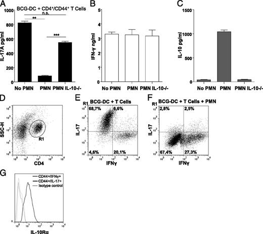 FIGURE 4. IL-10–producing neutrophils specifically downregulate Th17 CD4 cells expressing IL-10Rα. A total of 2.5 × 105 DCs infected with BCG as in Fig. 2 was cultured overnight with 5 × 105 PMNs from wild-type or IL-10−/− mice. A total of 2.5 × 106 CD4+CD44+CD62L− T cells from OT-II mice immunized 4 wk earlier with rBCG-OVA was FACS sorted and added to the wells in the presence of 2 μg/ml OVA peptide. IL-17A (A), IFN-γ (B), and IL-10 (C) were assayed in culture supernatants 72 h later. Results are means + SD from triplicates performed with cells from two different animals. Three independent experiments were performed and the results reported in the figure are from one representative experiment. **p = 0.002, ***p = 0.0006. (D–F) Flow cytometry analysis was performed on gated CD4+CD44+ cells (D) after stimulation with BCG-infected DCs and OVA peptide, in the absence (E) or presence (F) of PMNs and intracellular anti–IFN-γ or anti–IL-17A staining. Two independent experiments were performed and results for one are shown. (G) After cell-surface anti–IL-10Rα and intracellular anti–IFN-γ and anti–IL-17A staining, CD4+CD44+ IFN-γ+ (thin line) and CD4+CD44+ IL-17+ (thick line) were gated to analyze IL-10Rα expression. CD4+CD44+ IL-17+ cells were stained with control Ab of same isotype as anti–IL-10Rα (dashed line).