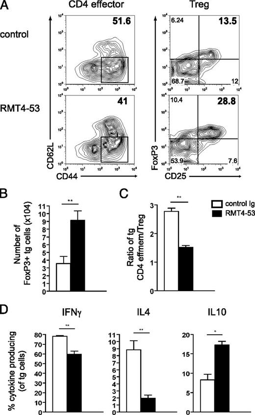 FIGURE 4. Blockade of TIM-4 promotes in vivo conversion of alloantigen-specific iTregs and suppresses CD4+ effector responses after transplantation. Adoptive transfer model: 3 × 106 CD4+ 25− Thy1.2 ABMtg cells were i.p. injected into congenic Thy1.1 B6 mice. Draining LNs were harvested on day 7 after bm12 skin transplant and treatment with anti–TIM-4 or control Ig. (A) In vivo treatment with anti–TIM-4 is associated with decreased allospecific T effector and increased allospecific Treg generation. Representative flow plots show expression of CD44 and CD62L (left panels), and Foxp3-GFP and CD25 (right panels) in Thy1.2+ alloantigen-specific tg CD4+. (B) Absolute number of CD4+ Thy1.2+ CD25+Foxp3-GFP+ cells from draining LNs of recipient mice, as determined by enumeration and flow cytometry. (C) Ratio of CD4 effector memory/Treg was determined by dividing percentage of Thy1.2+ CD4 effector memory (Thy1.2+GFP−CD44highCD62Llow) by the percentage of Thy 1.2+ Tregs (Thy1.2+CD25+GFP+) from draining LNs. (D) Treatment with anti–TIM-4 in vivo is associated with decreased IFN-γ and IL-4 and increased IL-10 production in draining LNs after skin transplantation. Frequency of cytokine-producing alloantigen-specific Thy1.2+CD4+ cells after ex vivo restimulation with PMA and ionomycin was assessed by flow cytometry. Data are from three experiments with four mice per group in each. Error bars represent SEM. A paired t test was performed to determine statistical significance. *p < 0.05, **p < 0.01.