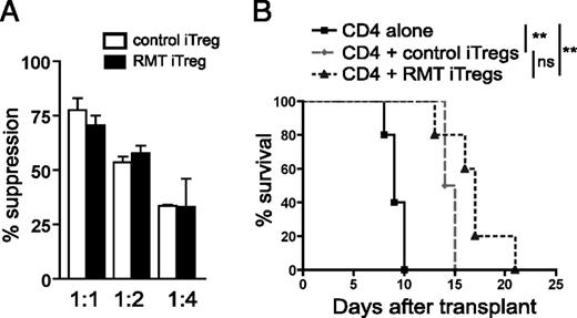 FIGURE 5. iTregs generated through interruption of TIM-4 signaling are functionally suppressive and prolong skin allograft survival in vivo. (A) iTregs were generated by coculturing ABMtg CD4+ Foxp3−GFP− cells with CD11c+ DCs, with 4 μg/ml anti-CD3 and 1 ng/ml TGF-β in the presence of anti–TIM-4 (RMT4-53) (RMT iTregs) or control Ig (control iTregs). Tregs were flow-sorted for Foxp3-GFP expression and added at varying ratios to MLC of irradiated allogeneic bm12 splenocytes and allosensitized ABMtg CD4+Foxp3− cells. Proliferation was assessed by [3H]thymidine incorporation. (B) Survival of bm12 skin allograft in B6 RAG−/− recipients after transfer of B6 WT CD4+CD25− cells (2 × 104) alone (MST 9 d; n = 5) or with 8 × 104 control iTregs (MST 14.5 d; n = 4) versus RMT iTregs (MST 17 d; n = 5). iTregs generated from B6 WT CD4+25− Foxp3-GFPreporter T cells cocultured with CD11c+ DCs in the presence of anti–TIM-4 (RMT iTregs) or control Ig (control iTregs) and then isolated by flow sorting for GFP expression. Data from (A) are representative of two independent experiments, each done in triplicate. Data are expressed as mean ± SEM. **p < 0.01.