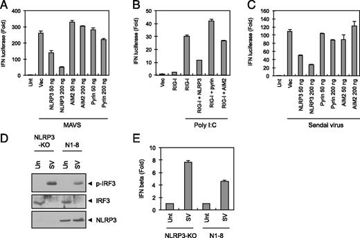 FIGURE 6. Inhibition of MAVS-induced type I IFN signaling by NLRP3. (A) 293T cells were transfected with IFN-β promoter-luciferase reporter plasmid (100 ng), p–β-galactosidase (100 ng), and the indicated expression constructs for MAVS (200 ng) together with empty vector (Vec) NLRP3, AIM2, or pyrin. Reporter luciferase activity was then determined as in Materials and Methods. (B) 293T cells were transfected as in (A) together with an expression construct for RIG-I with or without NLRP3, pyrin, or AIM2 constructs (B) or with constructs for NLRP3, pyrin, or AIM2 (C) as indicated. Twenty-four hours after transfection, cells were transfected with poly(I:C) (10 μg, 20 h, B) or infected with Sendai virus (SV; 10 hemagglutination activity, 8 h, C) as indicated. Reporter luciferase activity was then determined as in (A). (D and E) NLRP3-deficient BMDMs or NLRP3-restored (N1-8) BMDMs were left untreated or infected with SV (5 hemagglutination activity/ml) for 8 h. Cell lysates were immunoblotted for the indicated proteins (D), and mRNA levels of IFN-β were quantitated by real-time PCR as described in Materials and Methods.