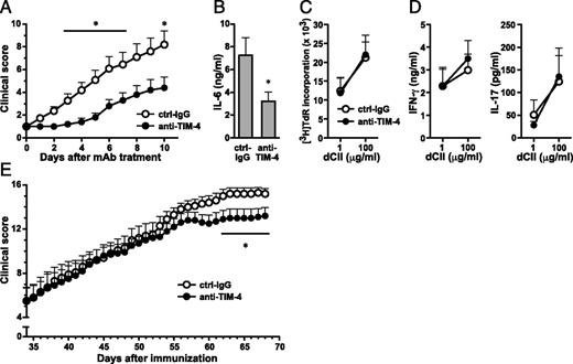 FIGURE 6. Effect of anti–TIM-4 mAb treatment after the onset of clinical arthritis and on established arthritis. (A–D) DBA/1 mice were immunized with CII/CFA on day 0 and CII/IFA on day 14. CIA mice were randomly assigned to anti–TIM-4 mAb or ctrl-IgG groups when they developed score 1 arthritis and then were treated for 9 d. (A) Clinical score of arthritis was evaluated after mAb treatment. (B) IL-6 was measured by ELISA at sacrifice in washouts from ankle joints. Draining LN cells were isolated and cultured with the indicated concentrations of dCII. (C) For estimating proliferation, 0.5 μCi [3H]TdR was added during the last 6 h of a 96-h culture. (D) Production of IFN-γ and IL-17 in the culture supernatants at 96 h was determined by ELISA. Similar results were obtained in two independent experiments. (E) DBA/1 mice were immunized with CII/CFA on day 0 and CII/IFA on day 14. Mice were equally assigned to either the anti–TIM-4 mAb or ctrl-IgG groups according to their arthritic score at day 34 (already established arthritis) and then treated from day 34 to day 67. Clinical score of arthritis was evaluated after day 34. Results are presented as the mean ± SEM. *p < 0.05 as compared with ctrl-IgG.