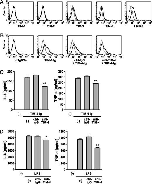 FIGURE 8. TIM-4 regulates proinflammatory cytokine production by macrophages. (A) Expression of TIM-4 and its receptors on BMDMs. BMDMs were triple stained with FITC-labeled anti-CD11b mAb, Alexa Fluor 647–labeled anti-F4/80 mAb, and biotinylated mAbs specific for TIM-1, TIM-2, TIM-3, TIM-4, LMIR5, or control rat or goat IgG, followed by PE-labeled streptavidin. (B) Reactivity of TIM-4-Ig to BMDMs. TIM-4-Ig was preincubated with 10 μg anti–TIM-4 mAb or control rat IgG2b and then added to BMDMs, followed by PE-labeled anti-mouse IgG2a mAb. The histograms show staining of electronically gated CD11b+ F4/80+ cells. Thick lines indicate the staining with the respective mAb or TIM-4-Ig, and thin lines indicate background staining with control IgG or PBS. (C) TIM-4-Ig induces IL-6 and TNF-α production by BMDMs. Purified CD11b+ F4/80+ BMDMs were cultured with TIM-4-Ig in the presence of anti–TIM-4 mAb or ctrl-IgG. Cytokine production in culture supernatant at 24 h was determined by ELISA. (D) Anti–TIM-4 mAb inhibits IL-6 and TNF-α production by LPS-stimulated BMDMs. Purified CD11b+ F4/80+ BMDMs were cultured with LPS in the presence of anti–TIM-4 mAb or ctrl-IgG. Cytokine production in culture supernatant at 24 h was determined by ELISA. Results are presented as the mean ± SEM. Similar results were obtained in three independent experiments. *p < 0.05, **p < 0.01 as compared with ctrl-IgG.
