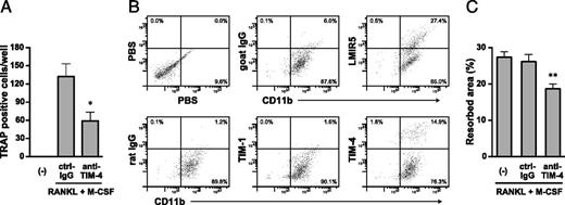 FIGURE 9. Inhibitory effect of anti–TIM-4 mAb on OC differentiation and bone resorption. (A and B) Effect of anti–TIM-4 mAb on differentiation of bone marrow cells into OC. Bone marrow cells were cultured with RANK and M-CSF in the presence of anti–TIM-4 mAb or ctrl-IgG. After 7 d, cells were analyzed for OC differentiation by TRAP staining. (A) The number of TRAP-positive multinucleated cells was counted. (B) Expression of TIM-4 and its receptors on OC was determined by staining with PerCP-Cy5.5–labeled anti-CD11b mAb and biotinylated mAbs specific for TIM-1, TIM-4, LMIR5, or control rat or goat IgG, followed by allophycocyanin-labeled streptavidin. (C) Blocking bone-resorbing activity of OC by anti–TIM-4 mAb. Bone marrow cells were cultured with RANK and M-CSF on a collagen gel-coated dish. The cells were collected and transferred onto dentin slices and incubated for 72 h in the presence of anti–TIM-4 mAb or ctrl-IgG. The dentin slices were stained with hematoxylin, and the pits formed in the resorbed area on the slices were measured. Results are presented as the mean ± SEM. Similar results were obtained in two independent experiments. *p < 0.05, **p < 0.01 as compared with ctrl-IgG.