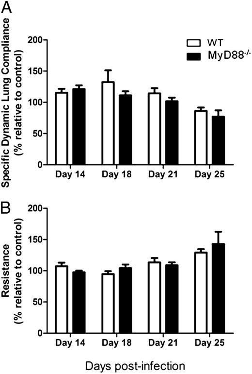 FIGURE 2. MyD88 deficiency does not alter lung function during Pneumocystis infection in the immunocompetent host. Dynamic lung compliance (A) and lung resistance (B) were measured in C57BL/6 (WT) and MyD88−/− mice on days 14, 18, 21, and 25 after Pneumocystis infection. Uninfected mice were used as a control. Values are mean ± 1 SE measurement (n = 4–8 per timepoint per group) of combined data from two independent experiments. p > 0.05.