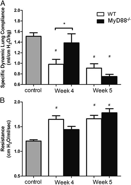 FIGURE 6. MyD88 signaling contributes to PcP-related lung function deficits during the early stage of infection but is protective during the later stage of disease. CD4+ T cell–depleted C57BL/6 (WT) and MyD88−/− mice were infected with 5 × 105 freshly isolated Pneumocystis cysts. Dynamic lung compliance (A) and lung resistance (B) were measured on week 4 and week 5 postinfection. Uninfected mice were used as a control. Values are mean ± 1 SE measurement (n = 6–11 per timepoint per group) of combined data from two independent experiments. *p < 0.05, #p < 0.05 compared with control.